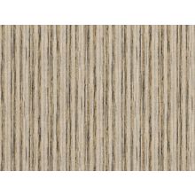 Виниловые обои Zambaiti Canova 2009z