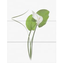 Керамическая плитка Novogres Wind Nadia Decor (3 шт.) панно 70х90