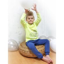 Кит Толстовка "Ящерица" 271-611 2