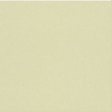 Обои бумажные Rasch Bambino XVII 246131