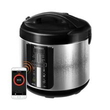 Мультиварка REDMOND SkyCooker RMC-M226S,Черный