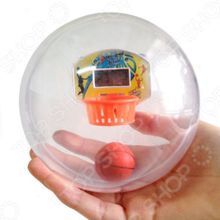 Лабиринтус Баскетбол