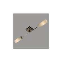 CITILUX  Светильник настенно-потолочный Болеро Citilux CL118121