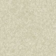 A45604 Обои Grandeco (Dorina) (1*6) 10,05х1,06  винил на флизелине