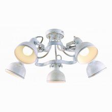 Arte Lamp Martin A5216PL-5WG