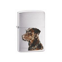 Zippo Zippo ZI 21091CHOCOLATE LAB