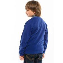 Pelican на молнии с принтом синяя