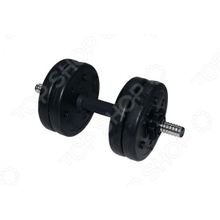 Lite Weights 310CD