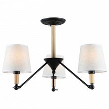 Rivoli Люстра на штанге Rivoli Buono Б0044415 ID - 464720