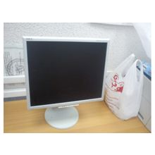 Монитор NEC MultiSync LCD1770NX