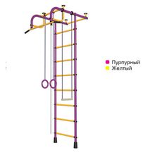 ДСК"Пионер 1" пурпурно жёлтый