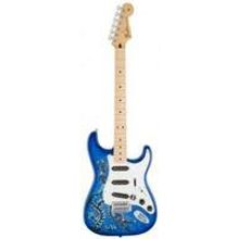 SPECIAL EDITION DAVID LOZEAU ART STRATOCASTER MN