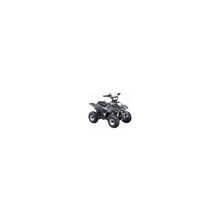 Квадроцикл IRBIS Dingo ATV50S (4т, 50см3, 3.1лс, АКПП, бак-2.3л, 1220х730х855 мм, 80кг, колеса 145 70-6   145 70-6, тормоза бар диск) для детей 5-8лет