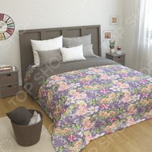 Сирень «Сиреневый цвет»