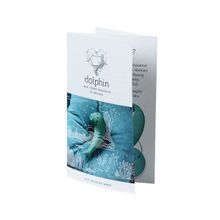 ToyFa Бирюзовый вакуум-волновой стимулятор клитора Dolphin с вибрацией (бирюзовый)