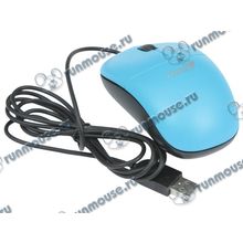Оптическая мышь Genius "DX-135", 2кн.+скр., сине-черный (USB) (ret) [136983]