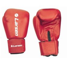 Перчатки боксерские Larsen TC-0884 10ун.
