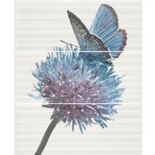 Ape Rich Decor Set (3) Mariposa 60x50 см
