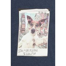 Acoola для мальчиков Позитив темно-синий