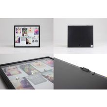 Umbra Clipline с зажимами для фотографий