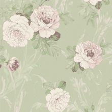 Обои флизелиновые Loymina Rosa Dragomirski R1005