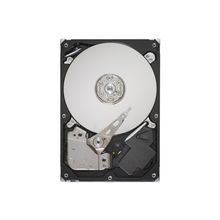 Seagate Seagate ST250DM000