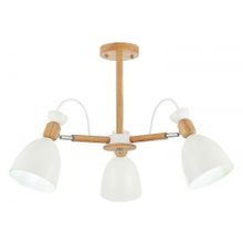 Evoluce Люстра на штанге EVOLUCE Balcamo SLE103802-03 ID - 467337