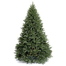  Ель Royal Christmas Washington 230150 (150 см)
