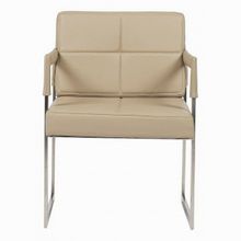 DG-Home Aster Chair DG-F-ACH311DCP