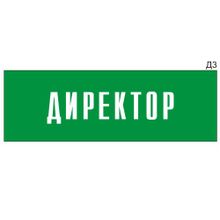 Информационная табличка «Директор» на дверь прямоугольная Д3 (300х100 мм)