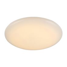 Светильник настенно-потолочный ST LUCE LISCIO SL875.442.01