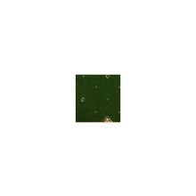 Ковровое покрытие Wiltax 5653 40 зеленый