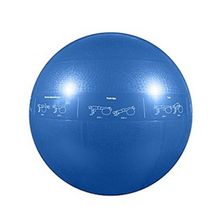 Мяч гимнастический надувной Go Fit GF-55 PRO