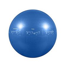 Мяч гимнастический надувной Go Fit GF-55 PRO