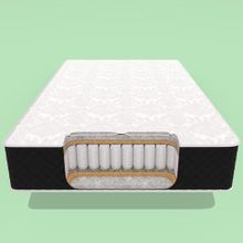  Medium Plus TFK Skylon3