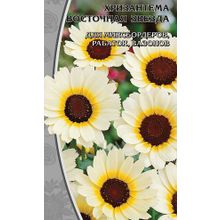Хризантема   Восточная звезда  0,5 гр