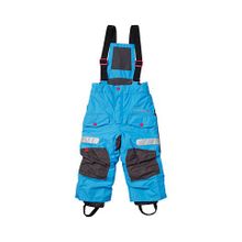 DIDRIKSONS 1913 Брюки для детей KANGRI KIDS PANTS 503382 233