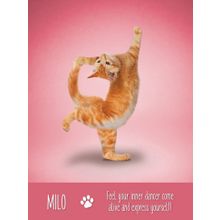 Карты Таро: "Yoga Cats Deck  Book Set" (YC44)