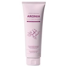 Pedison Institute-beaut Aronia Color Protection Treatment Маска для окрашенных и тонированных волос, 100 мл