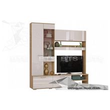 Модули БТС Флай Центральная секция ЦС-01