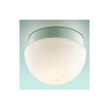 Потолочный светильник Odeon Minkar 2443 1B