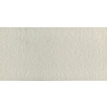 Apavisa Nanoeclectic White Decor 29.75x59.55 см