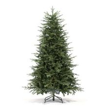  Ель Royal Christmas Auckland 821270 (270 см)