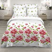 Василиса 7488 1