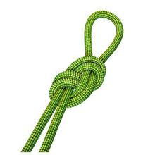 Веревка Salewa Speed Queen 9,1mm 60m