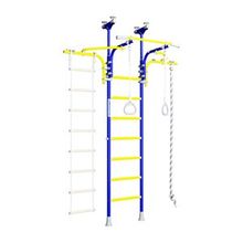 Romana R6 Синяя слива