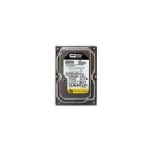 Жесткий диск Western Digital HDD SATA-II 250Gb Raid Edition