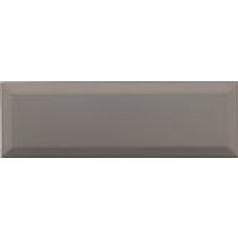 Tonalite Satin Cemento Diamantato 10x30 см