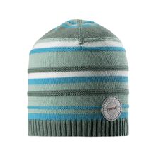 Reima Шапка-бини Niemi 528575 8831