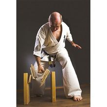 Кимоно для каратэ Budo-Nord Honbu Original